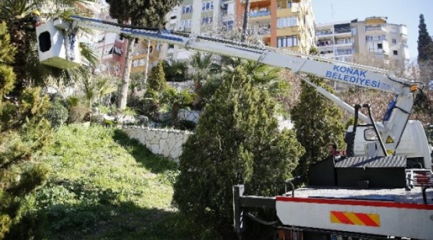 Konak'ta Parklara Estetik Dokunuş