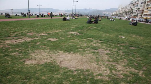 Kordon’a Çim Dayanmıyor!