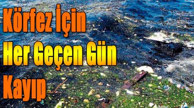 Körfez için her geçen gün kayıp