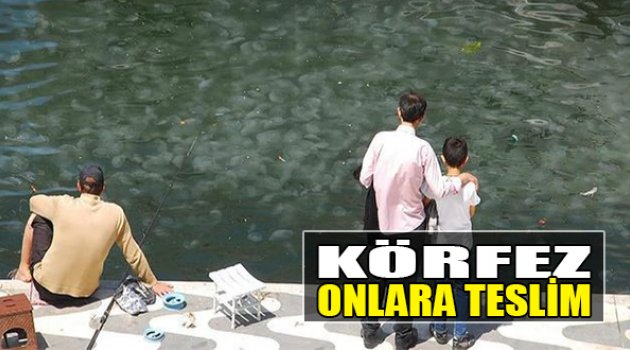 Körfez Onlara Teslim