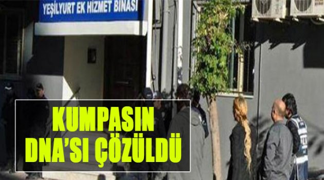 Kumpasın DNA’sı Çözüldü