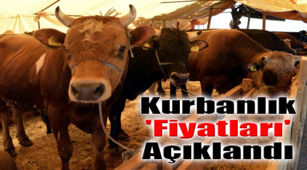 Kurbanlık Fiyatları Açıklandı