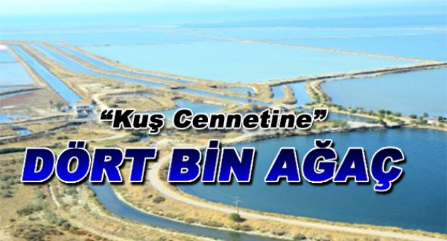 Kuş Cenneti'ne 4 Bin Ağaç Dikilecek