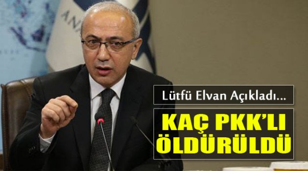 Lütfü Elvan Açıkladı: "Bugüne Kadar Kaç PKK'lı..."