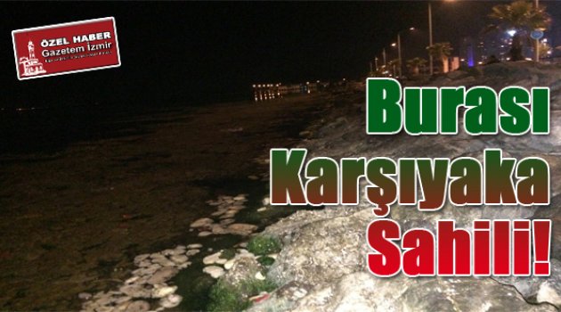 Mavişehir Denizi Pislik İçinde!