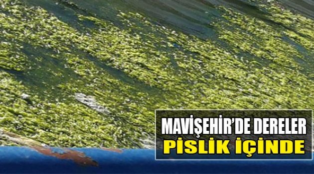 Mavişehir'de Dereler Pislik İçinde