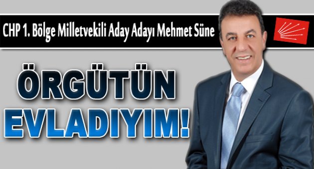 Mehmet Süne: "Örgütün Evladıyım"