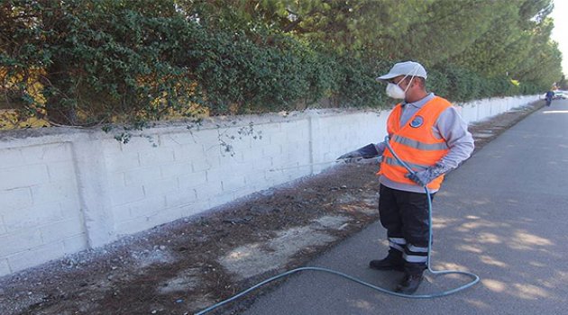 Menderes Beyaza Dönüyor