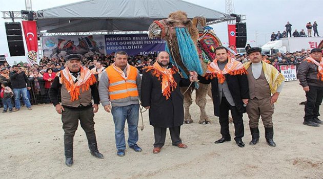 Menderes'te Deve Güreşi Heyecanı