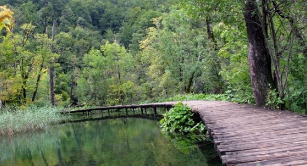 Milli parklarda yapılaşmaya Danıştay&#039;dan durdurma