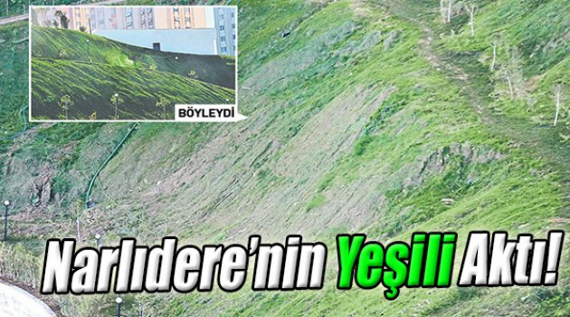 Narlıdere’nin Yeşili Aktı!