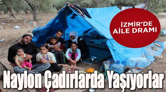 Naylon Çadırlarda Yaşıyorlar