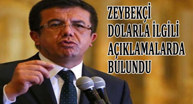 Nihat Zeybekci&#039;den dolar açıklaması
