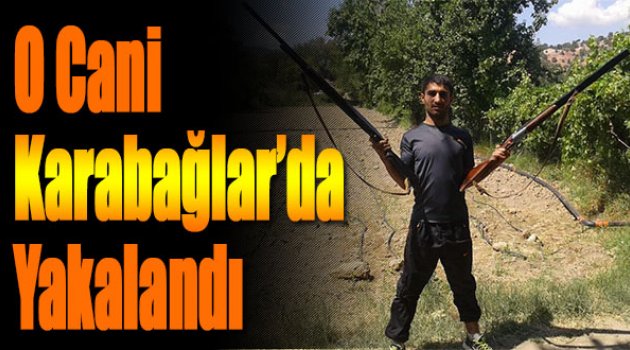 O Cani Karabağlar'da Yakalandı