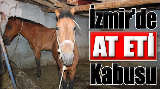 O İlçede 1.5 Ton At Eti Ele Geçirildi