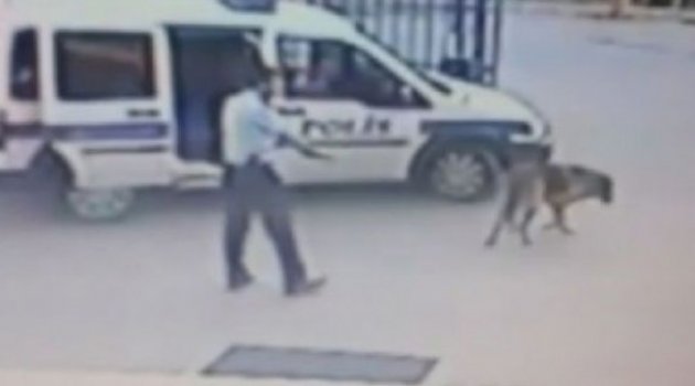 O Komiser Açığa Alındı