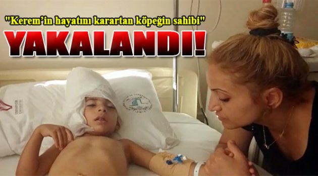 O Köpeğin Sahibi Yakalandı