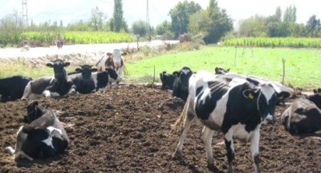 Ödemiş Ticaret Borsası'nda İşlem Hacmi 705 Milyon Liraya Yükseldi