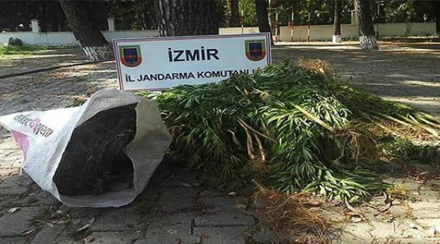 Ödemiş Ve Tire'de Uyuşturucu Operasyonu