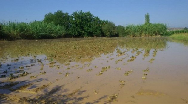 Ödemiş'te Havanın Aydınlanmasıyla Selin Boyutu Ortaya Çıktı