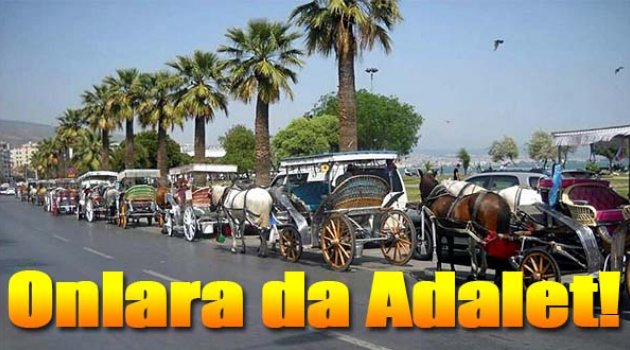 Onların Canı Yok Mu?