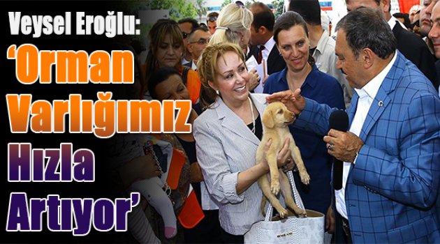 Orman ve Su İşleri Bakanı Veysel Eroğlu: “Orman varlığımız hızla artıyor”