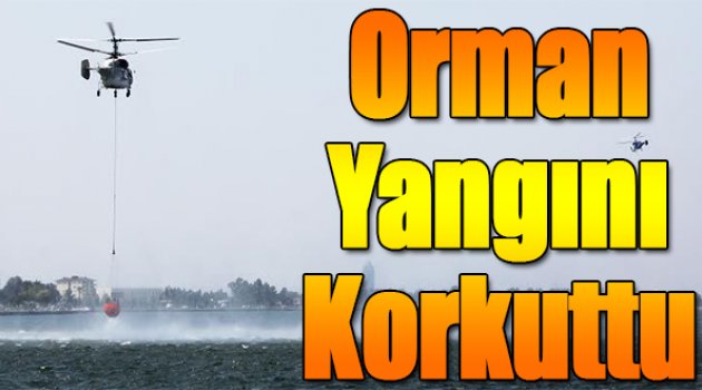 Orman yangını korkuttu