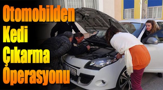 Otomobilden Kedi Çıkarma Operasyonu