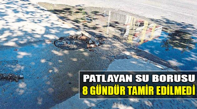 Patlayan Su Borusu  8 Gündür Tamir Edilmedi