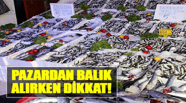 Pazardan Balık Alırken Dikkat