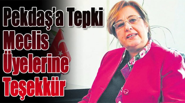 Pekdaş’a Tepki, Meclis Üyelerine Teşekkür