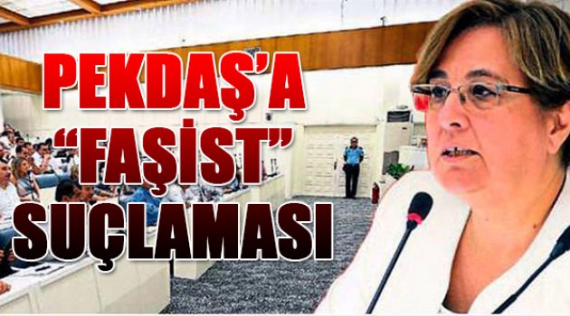 Pekdaş'a Faşist Suçlaması