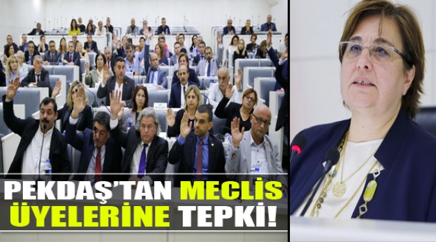 Pekdaş'tan Meclis Üyelerine Tepki