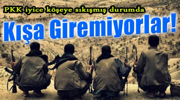 PKK Köşeye Sıkıştı, Kışa Giremiyor!