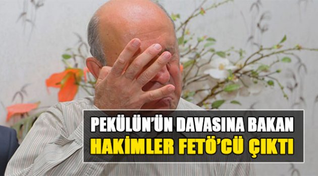 Prof. Dr. Pekünlü'nün Davasına Bakan Hakim Ve Savcılar da