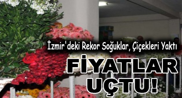 Rekor Soğuklar, Çiçekleri Yaktı, Fiyatlar Uçtu