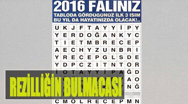 Rezilliğin Bulmacası