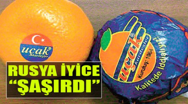 Rısya'yla İkinci Uçak Krizi!