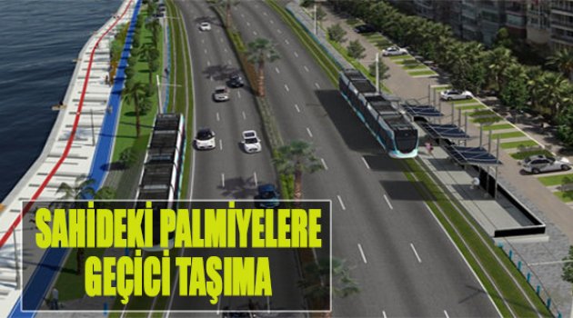 Sahildeki Palmiyelere ‘Geçici’ Taşıma