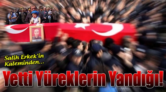 Salih Erkek yazdı...