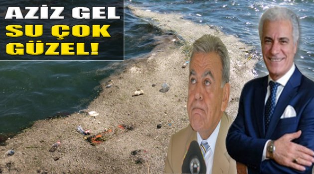 Salih Erkek Yazdı...