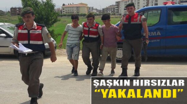 Şaşkın Hırsızlar Yakalandı