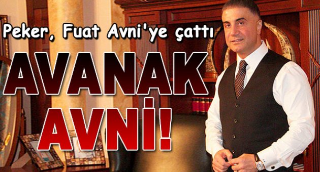 Sedat Peker'den Fuat Avni'ye: Avanak Avni!