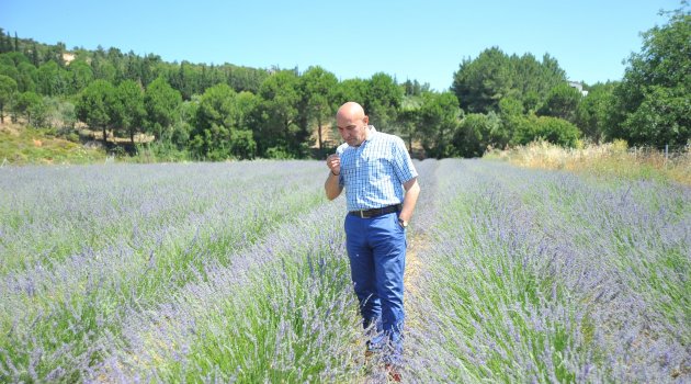 Seferihisar'da 'Başka Bir Tarım' Projesi...