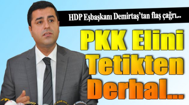 Selahattin Demirtaş: PKK derhal elini tetikten çekmeli