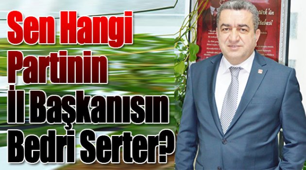 “Sen hangi partinin il başkanısın Serter?”