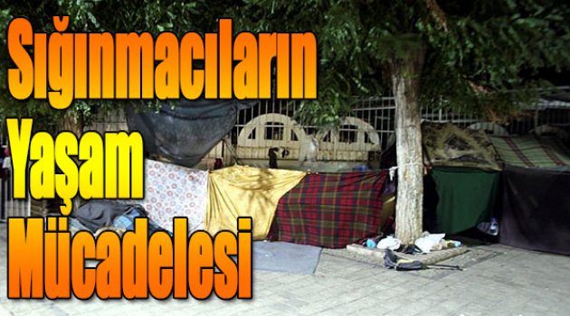 Sığınmacıların Yaşam Mücadelesi