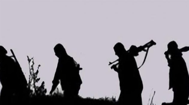 Şırnak'ta 7 PKK'lı teslim oldu