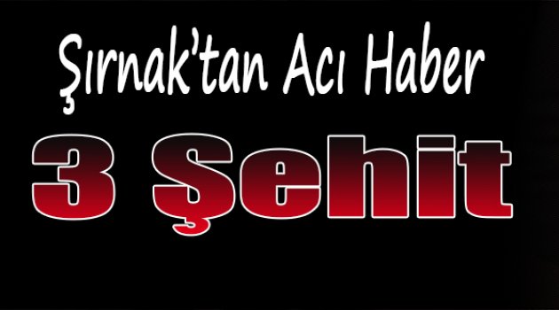 Şırnak'tan acı haber: 3 ŞEHİT