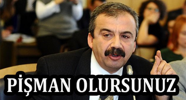 Sırrı Süreyya Önder: Pişman olursunuz